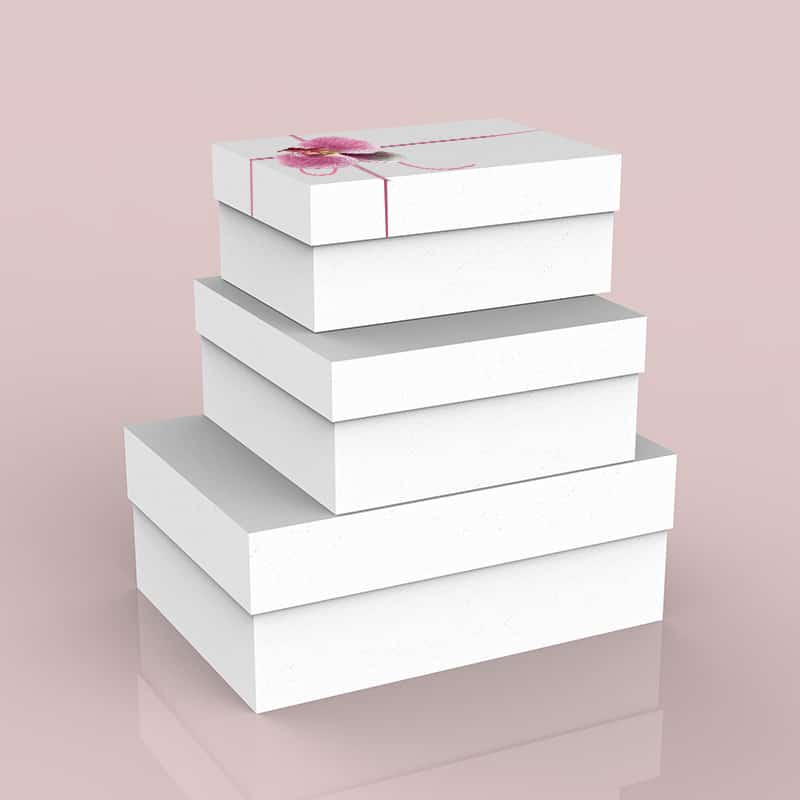Reusable lid and base of the white world box.jpg