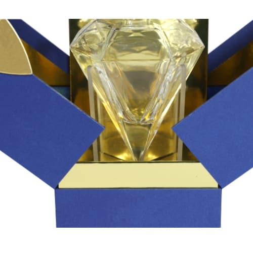 Special-shaped box-open_WH_500x500px.jpg