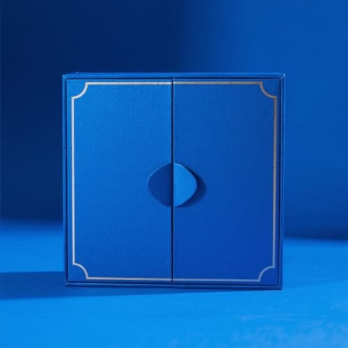 Double door box-blue_WH_500x500px.jpg