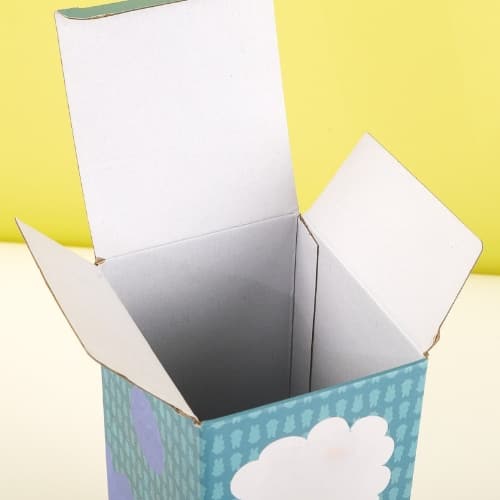 Double Socket Box_WH_500x500px_1.jpg